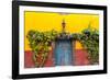 Decorative Doo on the Streets of San Miguel De Allende, Mexico-Chuck Haney-Framed Photographic Print