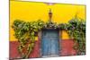 Decorative Doo on the Streets of San Miguel De Allende, Mexico-Chuck Haney-Mounted Photographic Print