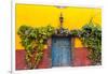 Decorative Doo on the Streets of San Miguel De Allende, Mexico-Chuck Haney-Framed Photographic Print