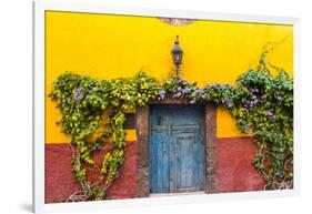 Decorative Doo on the Streets of San Miguel De Allende, Mexico-Chuck Haney-Framed Photographic Print