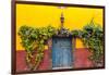 Decorative Doo on the Streets of San Miguel De Allende, Mexico-Chuck Haney-Framed Photographic Print