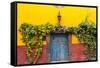 Decorative Doo on the Streets of San Miguel De Allende, Mexico-Chuck Haney-Framed Stretched Canvas