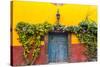 Decorative Doo on the Streets of San Miguel De Allende, Mexico-Chuck Haney-Stretched Canvas