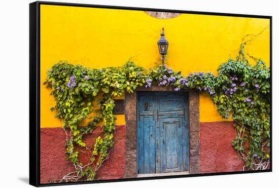Decorative Doo on the Streets of San Miguel De Allende, Mexico-Chuck Haney-Framed Stretched Canvas