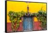 Decorative Doo on the Streets of San Miguel De Allende, Mexico-Chuck Haney-Framed Stretched Canvas