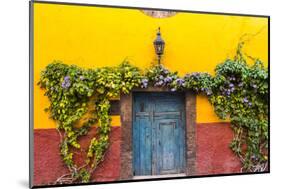 Decorative Doo on the Streets of San Miguel De Allende, Mexico-Chuck Haney-Mounted Photographic Print