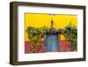 Decorative Doo on the Streets of San Miguel De Allende, Mexico-Chuck Haney-Framed Premium Photographic Print