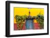 Decorative Doo on the Streets of San Miguel De Allende, Mexico-Chuck Haney-Framed Premium Photographic Print