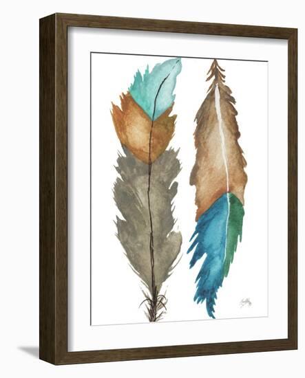 Decorative Feathers-Elizabeth Medley-Framed Art Print