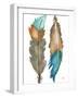 Decorative Feathers-Elizabeth Medley-Framed Art Print