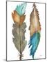 Decorative Feathers-Elizabeth Medley-Mounted Art Print