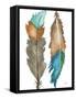 Decorative Feathers-Elizabeth Medley-Framed Stretched Canvas