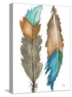 Decorative Feathers-Elizabeth Medley-Stretched Canvas