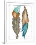 Decorative Feathers-Elizabeth Medley-Framed Art Print