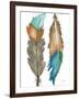 Decorative Feathers-Elizabeth Medley-Framed Art Print
