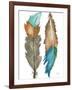 Decorative Feathers-Elizabeth Medley-Framed Art Print