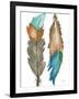 Decorative Feathers-Elizabeth Medley-Framed Art Print