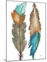 Decorative Feathers-Elizabeth Medley-Mounted Art Print