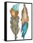 Decorative Feathers-Elizabeth Medley-Framed Stretched Canvas