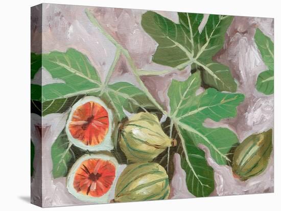 Decorative Fig I-Melissa Wang-Stretched Canvas