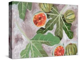 Decorative Fig II-Melissa Wang-Stretched Canvas