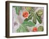 Decorative Fig II-Melissa Wang-Framed Art Print