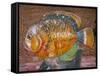 Decorative Fish in a Park near Phuket, Thailand-Tom Haseltine-Framed Stretched Canvas