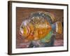 Decorative Fish in a Park near Phuket, Thailand-Tom Haseltine-Framed Photographic Print