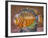 Decorative Fish in a Park near Phuket, Thailand-Tom Haseltine-Framed Photographic Print