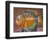 Decorative Fish in a Park near Phuket, Thailand-Tom Haseltine-Framed Photographic Print