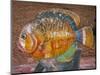 Decorative Fish in a Park near Phuket, Thailand-Tom Haseltine-Mounted Photographic Print