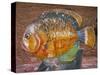 Decorative Fish in a Park near Phuket, Thailand-Tom Haseltine-Stretched Canvas