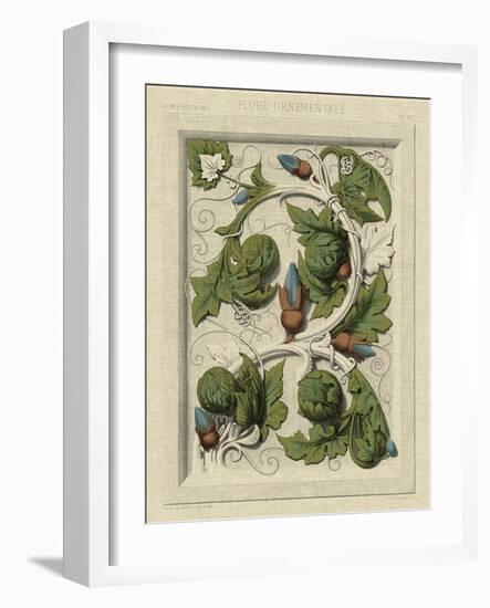 Decorative Flourish II-Vision Studio-Framed Art Print