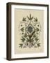 Decorative Flourish IV-Vision Studio-Framed Art Print