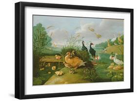 Decorative Fowl and Ducklings-Jan van Kessel the Elder-Framed Giclee Print