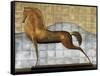 Decorative Horse II-Michael Garnier-Framed Stretched Canvas