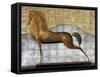 Decorative Horse II-Michael Garnier-Framed Stretched Canvas