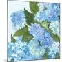 Decorative Hydrangea I-Kathrine Lovell-Mounted Art Print