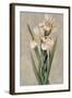 Decorative Irises I-Jill Deveraux-Framed Art Print