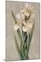 Decorative Irises I-Jill Deveraux-Mounted Art Print