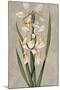 Decorative Irises II-Jill Deveraux-Mounted Art Print