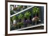 Decorative Iron Balcony-dndavis-Framed Photographic Print