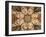 Decorative Mosaic with Floral Motifs, from Timgad-null-Framed Giclee Print