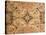 Decorative Mosaic with Floral Motifs, from Timgad-null-Stretched Canvas