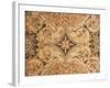 Decorative Mosaic with Floral Motifs, from Timgad-null-Framed Giclee Print