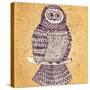 Decorative Owl-Molesko Studio-Stretched Canvas