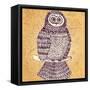 Decorative Owl-Molesko Studio-Framed Stretched Canvas