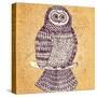 Decorative Owl-Molesko Studio-Stretched Canvas