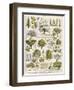 Decorative Page Showing Fruit Trees and Ways to Cultivate Them-null-Framed Photographic Print