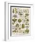 Decorative Page Showing Fruit Trees and Ways to Cultivate Them-null-Framed Photographic Print